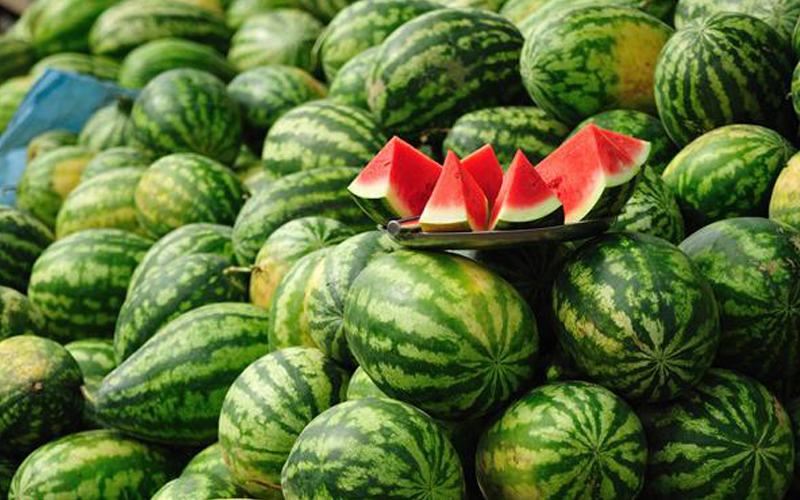 挑選水果小竅門最全攻略,這些您都知道嗎 挑選水果小竅門最全攻略,這些您都知道嗎